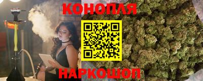 jwh Камышлов