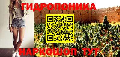 jwh Камышлов