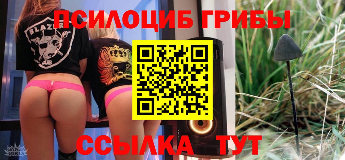 Кореновск  Псилоцибиновые грибы ЛСД  Вход с VPN 